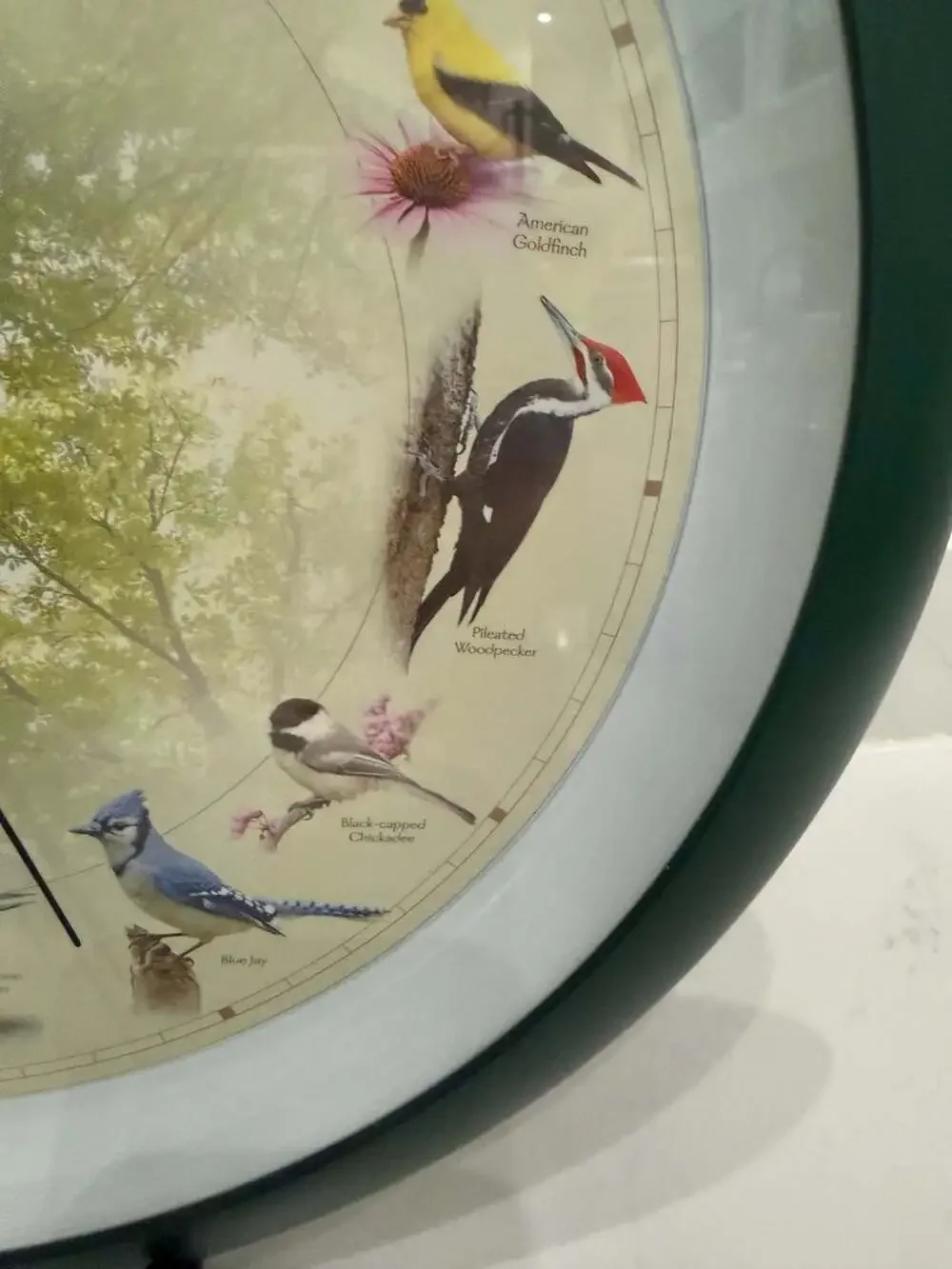 Singing Bird Clock 13” Wall Hanging w/ 12 Hourly Songs & Light Sensor Mute